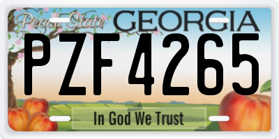 GA license plate PZF4265