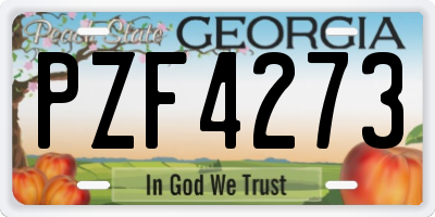 GA license plate PZF4273