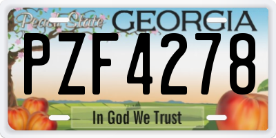 GA license plate PZF4278