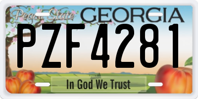GA license plate PZF4281