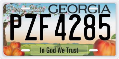 GA license plate PZF4285