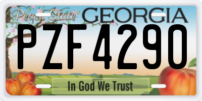 GA license plate PZF4290