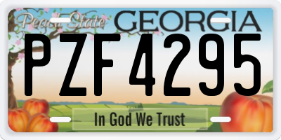 GA license plate PZF4295