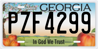 GA license plate PZF4299