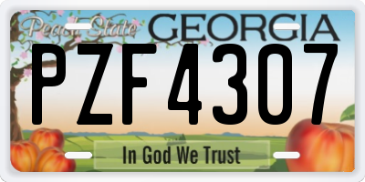 GA license plate PZF4307