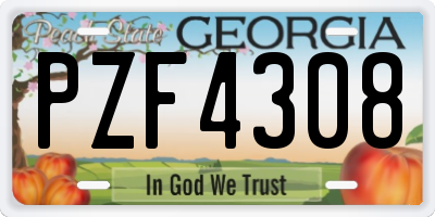 GA license plate PZF4308
