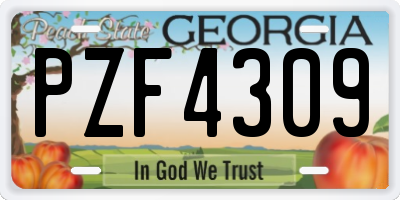 GA license plate PZF4309