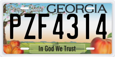 GA license plate PZF4314