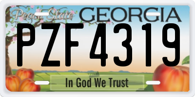 GA license plate PZF4319