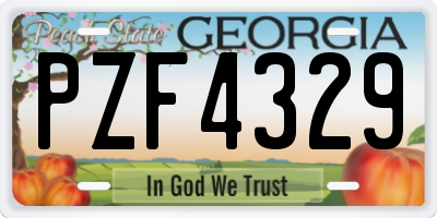 GA license plate PZF4329