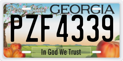 GA license plate PZF4339