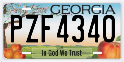 GA license plate PZF4340