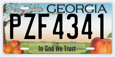 GA license plate PZF4341