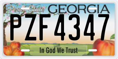 GA license plate PZF4347