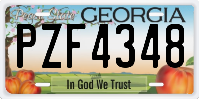 GA license plate PZF4348
