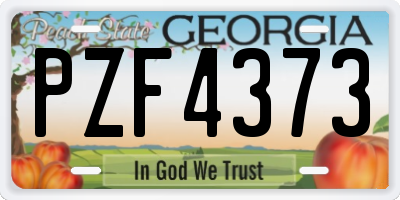 GA license plate PZF4373