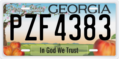 GA license plate PZF4383
