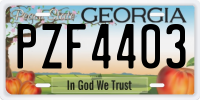GA license plate PZF4403