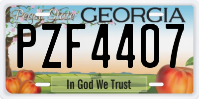 GA license plate PZF4407