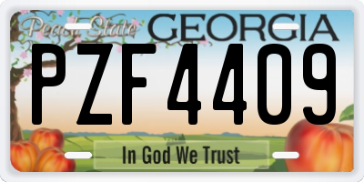 GA license plate PZF4409