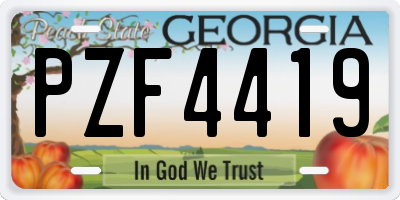 GA license plate PZF4419