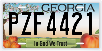 GA license plate PZF4421