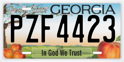 GA license plate PZF4423