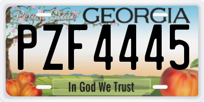 GA license plate PZF4445