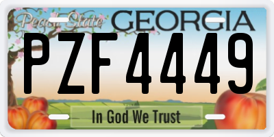 GA license plate PZF4449