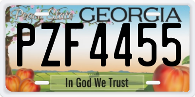 GA license plate PZF4455