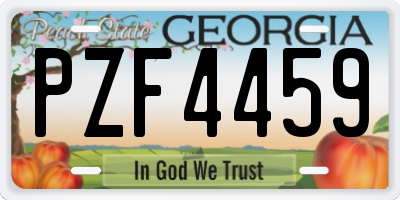 GA license plate PZF4459