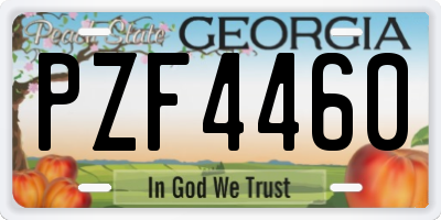 GA license plate PZF4460