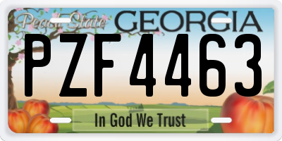 GA license plate PZF4463