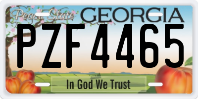 GA license plate PZF4465