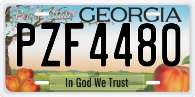 GA license plate PZF4480