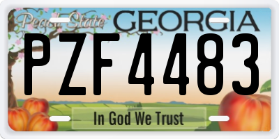 GA license plate PZF4483