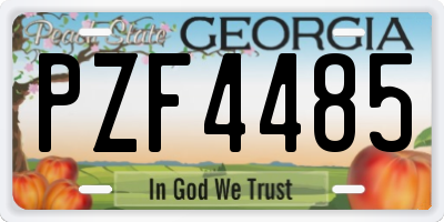 GA license plate PZF4485