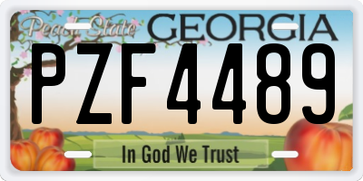 GA license plate PZF4489