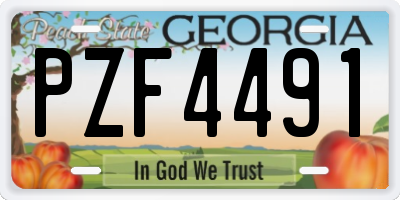 GA license plate PZF4491