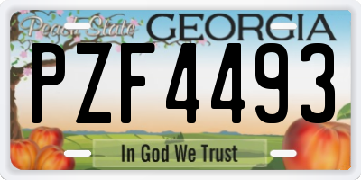 GA license plate PZF4493