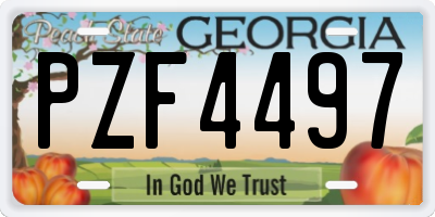 GA license plate PZF4497