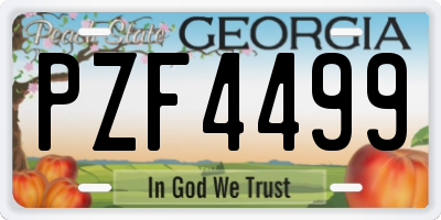 GA license plate PZF4499