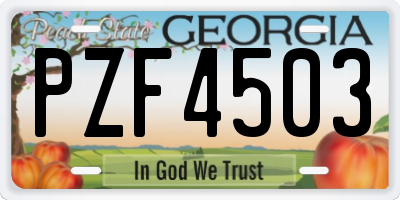 GA license plate PZF4503