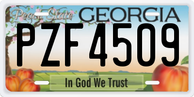 GA license plate PZF4509
