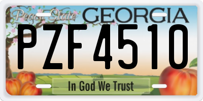GA license plate PZF4510