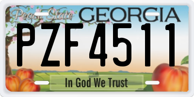 GA license plate PZF4511