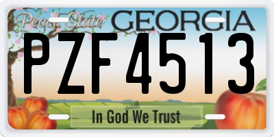 GA license plate PZF4513