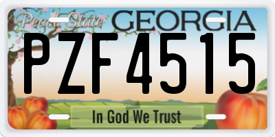 GA license plate PZF4515