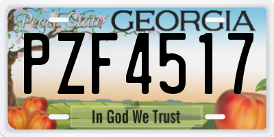 GA license plate PZF4517