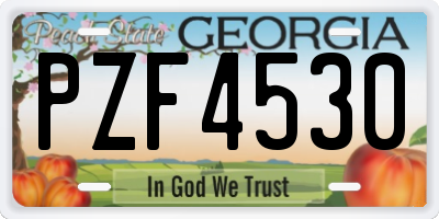 GA license plate PZF4530